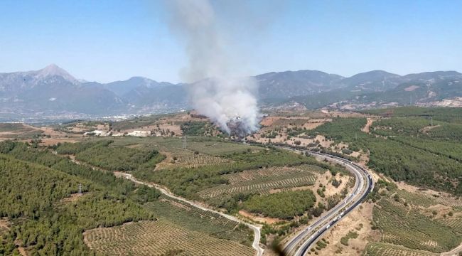 Osmaniye'deki yangın kontrol altına alındı