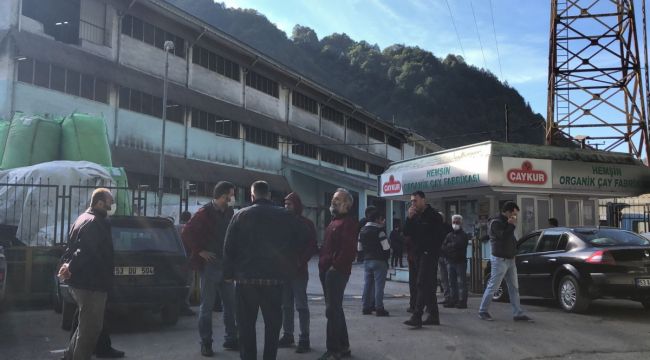 Rize'de çay fabrikasındaki patlamada