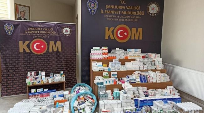 Şanlıurfa'da Çekirge Operasyonu