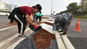 ALİAĞA YOLLARINA ESTETİK DOKUNUŞ