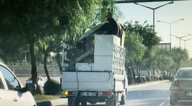 Buzdolabı üzerinde tehlikeli yolculuk