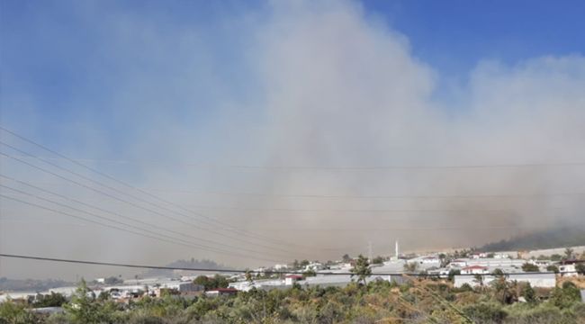 Mersin'de orman yangını