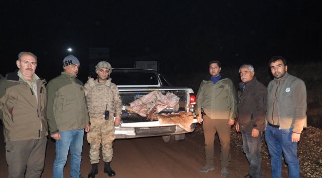 Adıyaman’da yabani dağ keçisi vuran şahsa para cezası