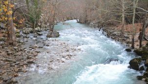 Antalya'da yazın kuruyan ırmak, yağışlar sonrası adeta coştu