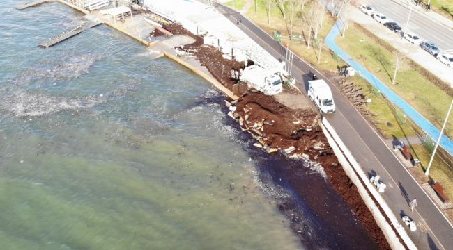 Kadıköy Caddebostan sahilini yine kırmızı renkli yosunlar kapladı