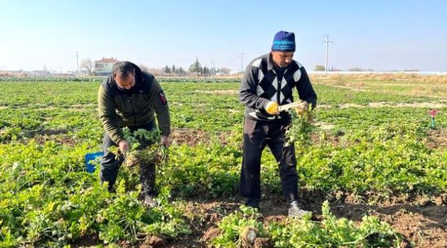 Üreticiden 2,50 TL alınıyor markette 8,50 TL'ye satılıyor