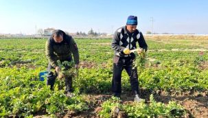 Üreticiden 2,50 TL alınıyor markette 8,50 TL'ye satılıyor