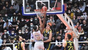 ALİAĞA PETKİMSPOR: 95- FENERBAHÇE BEKO: 90