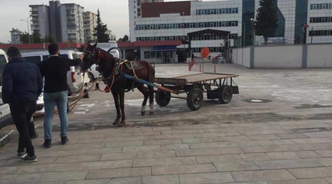 At arabasıyla uyuşturucu satan baba oğul tutuklandı