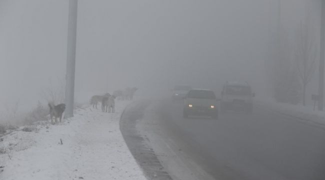 Erzincan'ı sis, pus, kırağı sardı