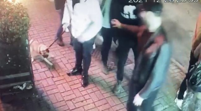 'Gorbi' isimli köpeği çalan hırsızları Beşiktaş polisi yakaladı