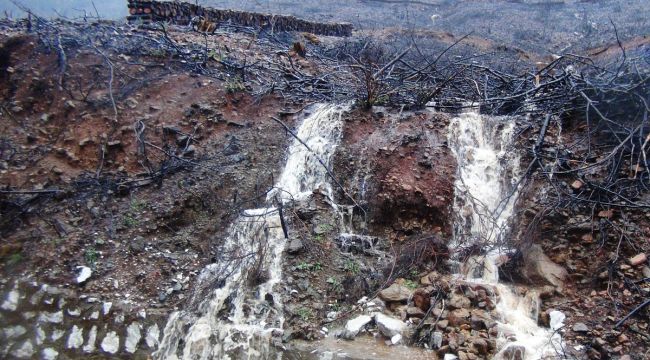 İklim değişikliği krizi Marmaris'i vuruyor