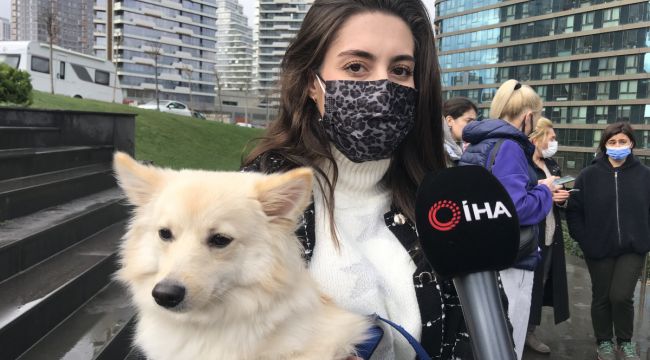 Lüks sitede köpek besleyen hayvansevere tehdit