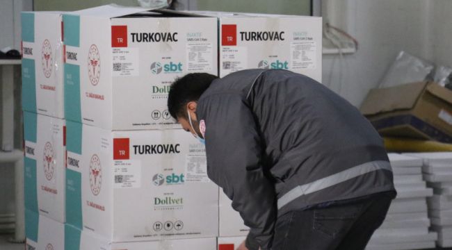 Bakan Koca duyurmuştu, yeni seri TURKOVAC aşılarının dağıtımı başladı