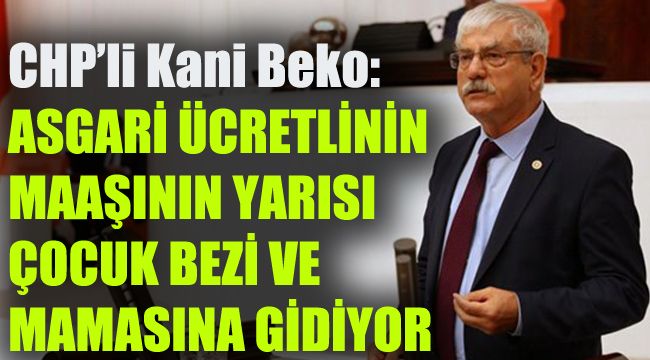 Beko: Asgari ücretlinin maaşının yarısı çocuk bezi ve mamasına gidiyor