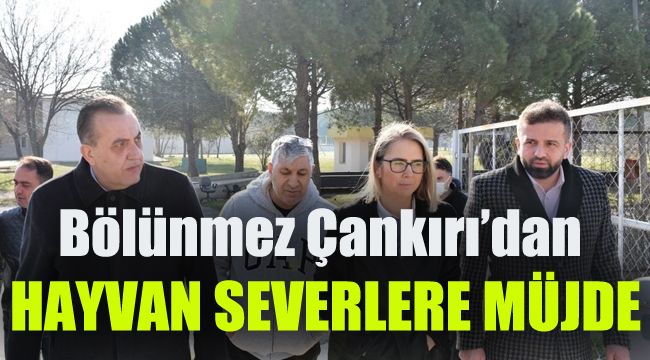 Bölünmez Çankırı'dan hayvan severlere müjde 