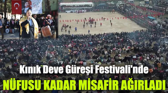 Kınık Deve Güreşi Festivali'nde nüfusu kadar misafir ağırladı