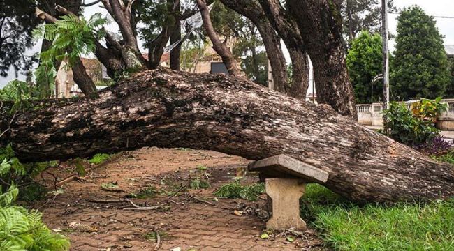 Madagaskar'ı vuran kasırgada can kaybı 10'a yükseldi