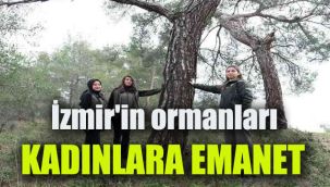 İzmir'in ormanları kadınlara emanet