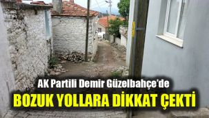 AK Partili Demir Güzelbahçe’de bozuk yollara dikkat çekti