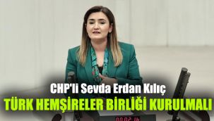 CHP'li Sevda Erdan Kılıç: Türk Hemşireler Birliği kurulmalı