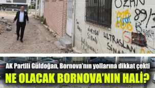 Ne olacak Bornova'nın hali? : AK Partili Güldoğan, Bornova'nın yollarına dikkat çekti