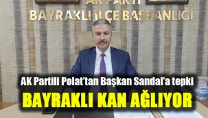 AK Partili Polat’tan Başkan Sandal’a tepki: Bayraklı kan ağlıyor