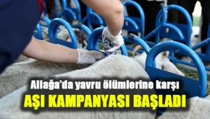 Aliağa’da yavru ölümlerine karşı aşı kampanyası başladı