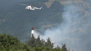 Ciğerlerimiz yanıyor: Ekipler müdahale ediyor