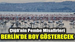 Çiğli’nin Pembe Misafirleri Berlin'de boy gösterecek