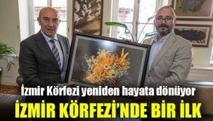 İzmir Körfezi yeniden hayata dönüyor: İzmir Körfezi'nde bir ilk