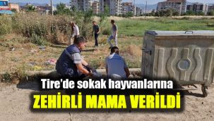 Tire'de sokak hayvanlarına zehirli mama verildi