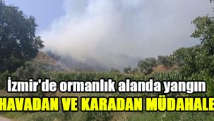 İzmir'de ormanlık alanda yangın: Havadan ve karadan müdahale