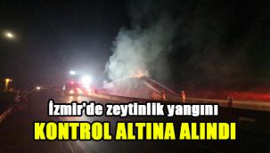 İzmir'de zeytinlik yangını kontrol altına alındı