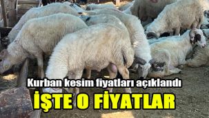 Kurban kesim fiyatları açıklandı: İşte o fiyatlar