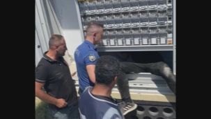 Kuşadası'nda sık sık elektrik kesintisine neden olan "hırsız fare" böyle yakalandı