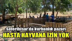 Seferihisar’da kurbanlık pazarı: Hasta hayvana izin yok