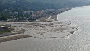 Sel suları Karadeniz'i kahverengiye bürüdü