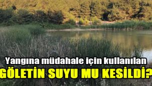 Yangına müdahale için kullanılan göletin suyu mu kesildi?