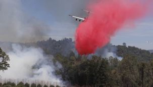 California yılın en büyük yangınıyla mücadele ediyor