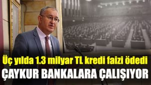 ÇAYKUR bankalara çalışıyor: Üç yılda 1.3 milyar TL kredi faizi ödedi