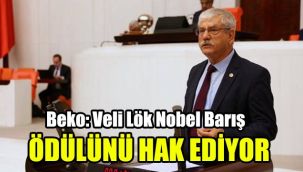 Veli Lök Nobel Barış Ödülünü hak ediyor