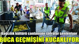 Buca geçmişini kucaklıyor: Bağcılık kültürü canlanıyor,  sofralar şenleniyor