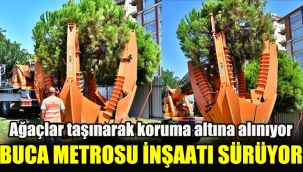 Buca Metrosu inşaatı sürüyor: Ağaçlar taşınarak koruma altına alınıyor