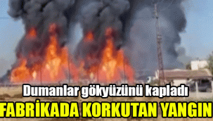 Fabrikada korkutan yangın: Dumanlar gökyüzünü kapladı