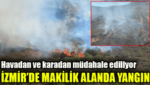 İzmir'de makilik alanda yangın