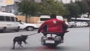 Motosiklet kullanırken tasmasından tuttuğu köpeği kilometrelerce koşturdu