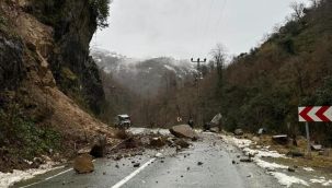 Artvin’de şiddetli yağış heyelanlara ve dere taşkınlarına neden oldu