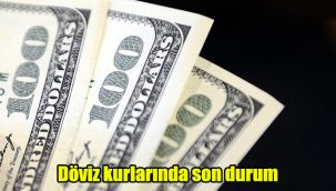 Döviz kurlarında son durum