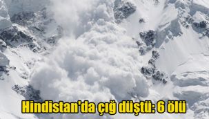 Hindistan'da çığ düştü